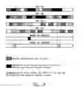 Fig. 12 - Method and system for soft handoff in mobile broadband systems