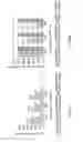 Fig. 11 - User terminal, radio base station and communication control method