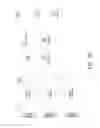 Fig. 05 - Scalable video coding over simultaneous unicast/multicast LTE DL shared channel