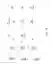Fig. 06 - Scalable video coding over simultaneous unicast/multicast LTE DL shared channel