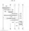 Fig. 23 - Method and apparatus for operating system in cellular mobile communication system