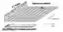 Fig. 01 - METHOD AND RADIO NODE FOR TRANSMITTING DOWNLINK SIGNALS