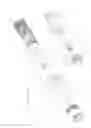Fig. 30 - Portable lighting devices