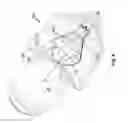 Fig. 06 - Lighting device and luminaire comprising an integrated antenna
