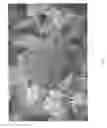 Fig. 03 - Spiraea Plant Named 'SMNSJSP'