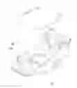 Fig. 01 - Lawn mower with reinforced deck
