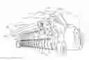 Fig. 01 - Pickup unit for an agricultural harvesting machine having removable extension plates