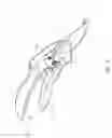 Fig. 02 - Gardening scissor