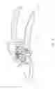 Fig. 04 - Gardening scissor
