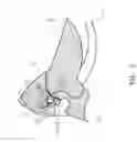 Fig. 06 - Gardening scissor
