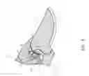 Fig. 07 - Gardening scissor