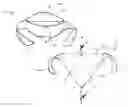 Fig. 01 - Pet collar with collapsible bowl