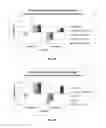 Fig. 06 - MICROBIAL COMPOSITIONS FOR USE IN COMBINATION WITH SOIL INSECTICIDES FOR BENEFITING PLANT GROWTH