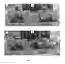 Fig. 04 - PLANTING MATRICES COMPRISING BACILLUS SPP. MICROORGANISMS FOR BENEFITING PLANT GROWTH