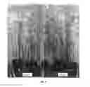 Fig. 10 - BACILLUS LICHENIFORMIS RTI184 COMPOSITIONS AND METHODS OF USE FOR BENEFITING PLANT GROWTH