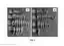 Fig. 05 - BACILLUS PUMILUS RTI279 COMPOSITIONS AND METHODS OF USE FOR BENEFITING PLANT GROWTH