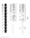 Fig. 02 - BACILLUS AMYLOLIQUEFACIENS RTI472 COMPOSITIONS AND METHODS OF USE FOR BENEFITING PLANT GROWTH AND TREATING PLANT DISEASE