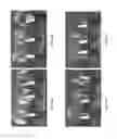Fig. 13 - BACILLUS AMYLOLIQUEFACIENS RTI472 COMPOSITIONS AND METHODS OF USE FOR BENEFITING PLANT GROWTH AND TREATING PLANT DISEASE