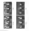 Fig. 14 - BACILLUS AMYLOLIQUEFACIENS RTI472 COMPOSITIONS AND METHODS OF USE FOR BENEFITING PLANT GROWTH AND TREATING PLANT DISEASE