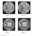 Fig. 19 - BACILLUS AMYLOLIQUEFACIENS RTI472 COMPOSITIONS AND METHODS OF USE FOR BENEFITING PLANT GROWTH AND TREATING PLANT DISEASE