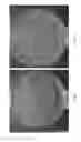 Fig. 05 - Microbial compositions and methods of use for benefiting plant growth and treating plant disease