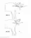 Fig. 04 - Game dressing tool