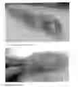 Fig. 02 - METHOD FOR SLICING TENDERS