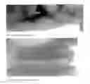 Fig. 04 - METHOD FOR SLICING TENDERS