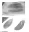 Fig. 05 - METHOD FOR SLICING TENDERS