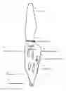 Fig. 02 - Poultry Cleaning Knife