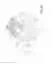Fig. 25 - Method and apparatus for processing crustacean body parts and processed crustacean body parts