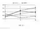 Fig. 08 - Use of nutritional supplement for increasing the bacterial mass in the rumen of a ruminant