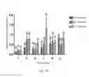 Fig. 07 - METHOD FOR PRODUCING FEED ADDITIVE CONTAINING SURFACTIN
