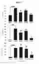 Fig. 08 - METHOD FOR PREPARING LOW ANTIGENIC FOOD AND LOW ANTIGENIC FOOD PREPARED BY SAID METHOD