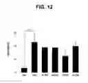 Fig. 13 - METHOD FOR PREPARING LOW ANTIGENIC FOOD AND LOW ANTIGENIC FOOD PREPARED BY SAID METHOD