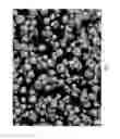 Fig. 05 - Method of Producing Salt Composition
