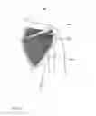 Fig. 13 - RESISTANCE EXERCISE CLOTHING