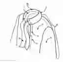 Fig. 01 - Article of clothing for storing and deploying a scarf