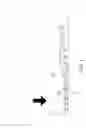 Fig. 04 - FOOTBED HAVING FUNCTIONS OF ACUPUNCTURE POINT MASSAGE AND REDUCING PRESSURE