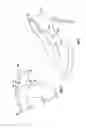 Fig. 05 - SHOE HEEL ENGAGEMENT SUPPORT SYSTEM