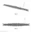 Fig. 06 - Jewellery item