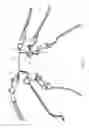 Fig. 13 - Jewelry clasp