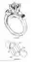 Fig. 17 - Interchangeable jewelry, particularly a ring assembly