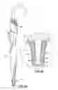 Fig. 05 - WATER CATCHMENT DEVICE FOR UMBRELLA