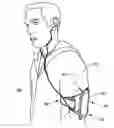 Fig. 01 - COMBINATION AND SUPPORT DEVICE FOR SECURING A HANDHELD OBJECT TO A USER OR STRUCTURE