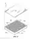 Fig. 03 - Table Tennis Table with a Honeycomb Core and a Method for its Manufacture