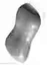 Fig. 02 - SUPPORT ELEMENT