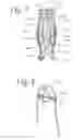 Fig. 05 - Play yards and methods of operating the same