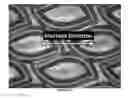 Fig. 11 - Dispersible nonwoven wipe material