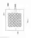 Fig. 13 - Pupilary screening system and method